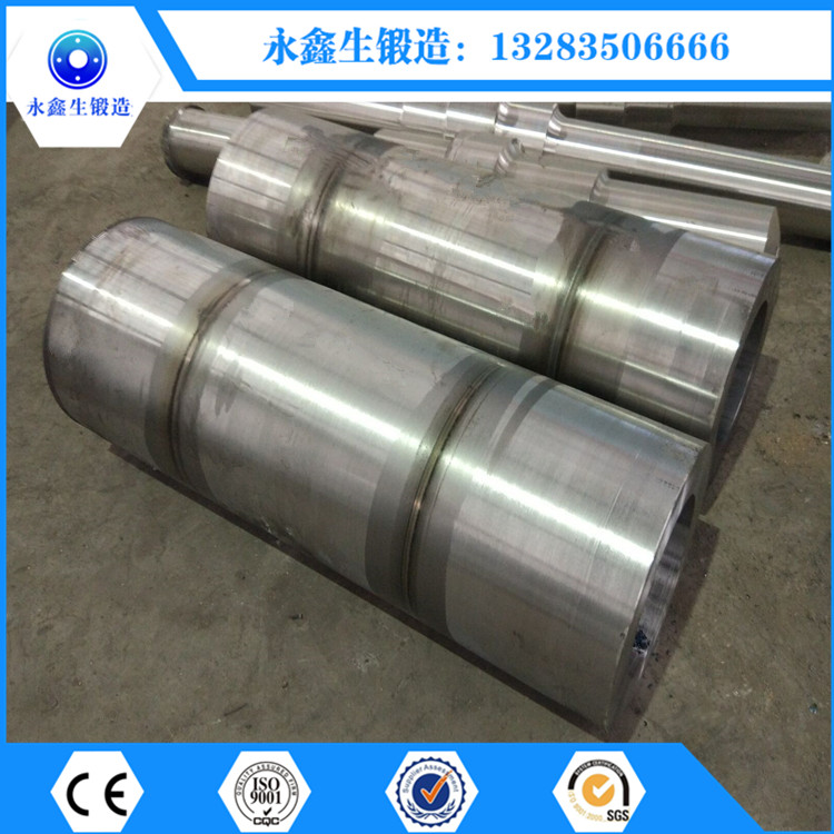 N1a(b)(qing)DN1300